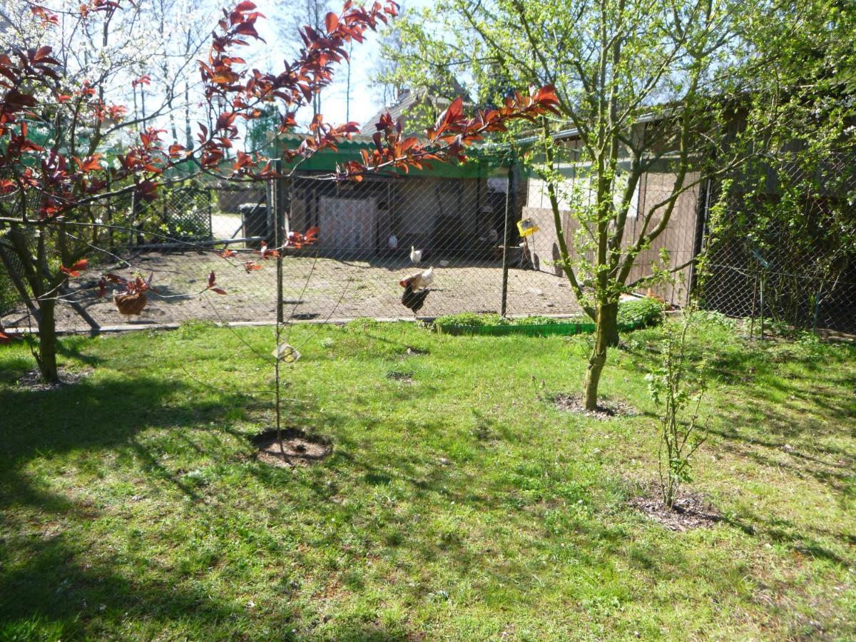 Maja Villa Guhrow Exterior photo