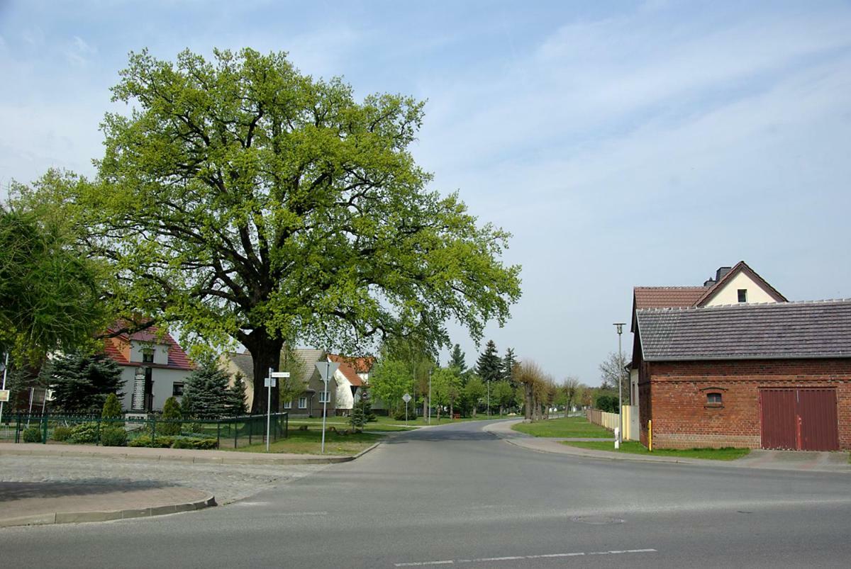 Maja Villa Guhrow Exterior photo